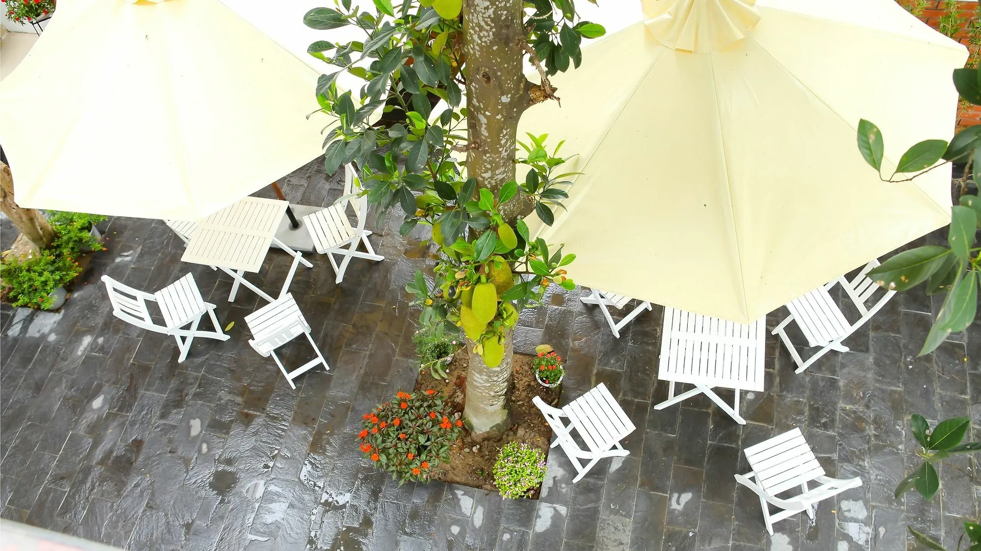 Blue Lake Homestay Hoi An Vietnam